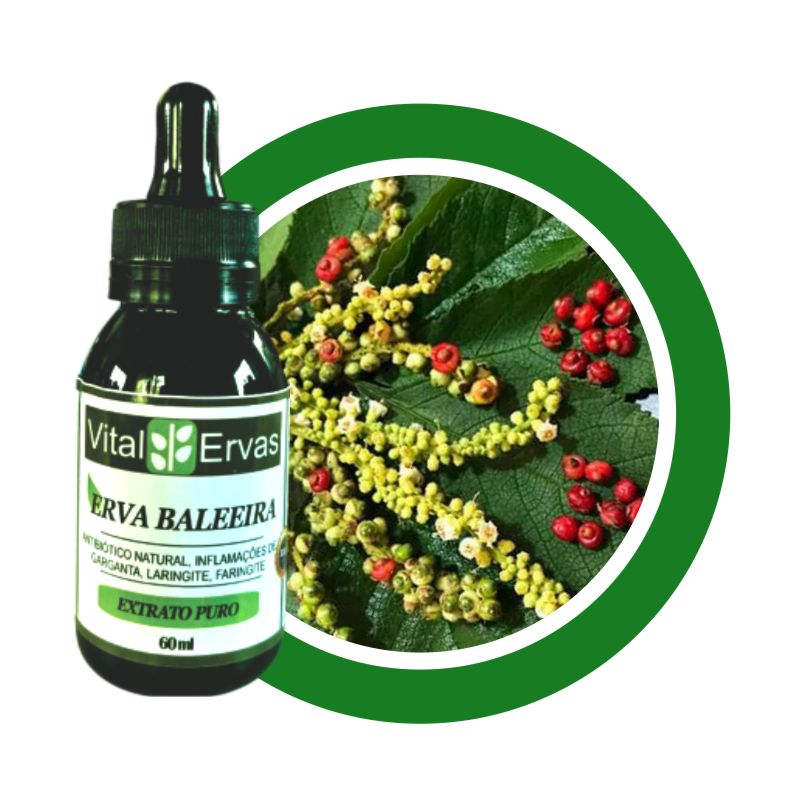 erva-baleeira-extrato-60ml erva baleeira