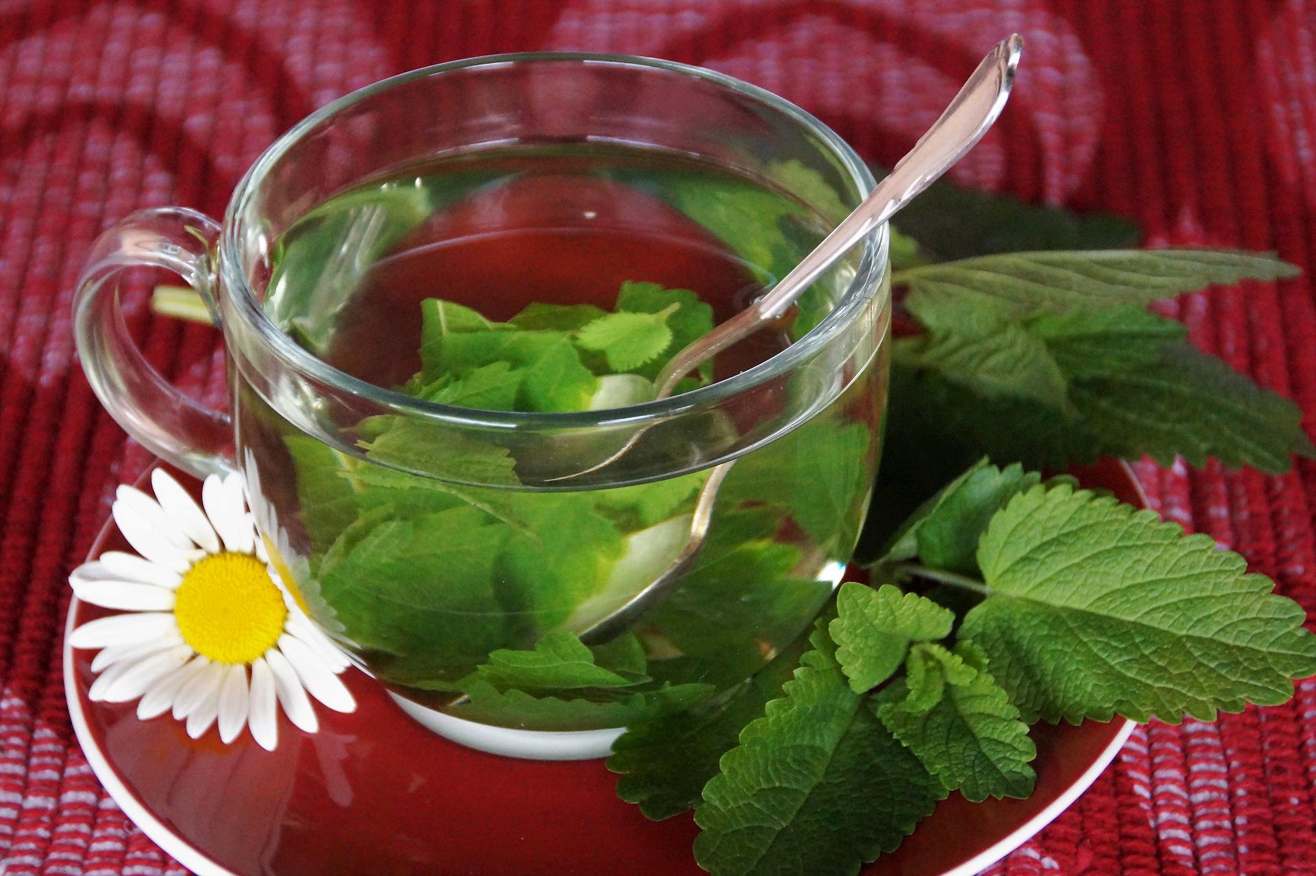 Ervas Medicinais Para Chás