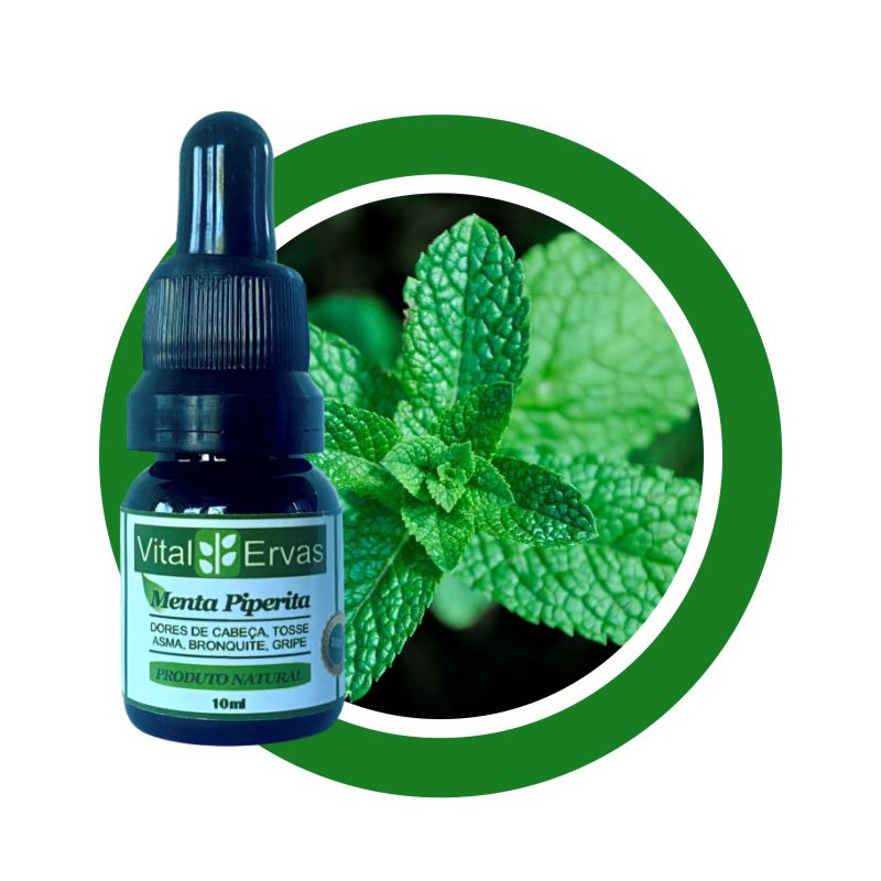 Menta Piperita - Óleo - 10ml Menta Piperita - Óleo - 10ml