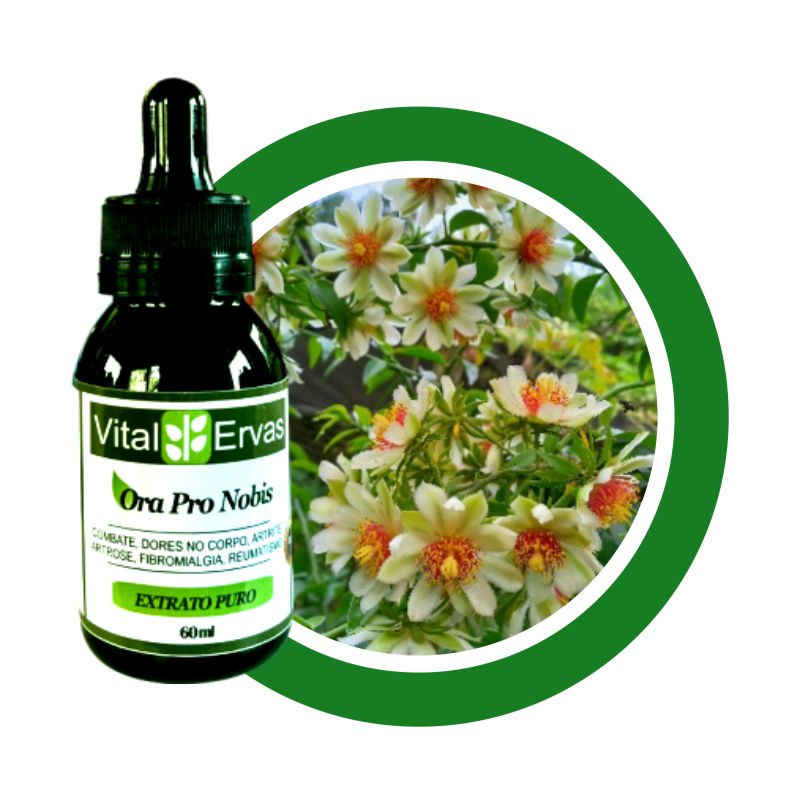 ora-pro-nobis-extrato-60ml ora pro nobis