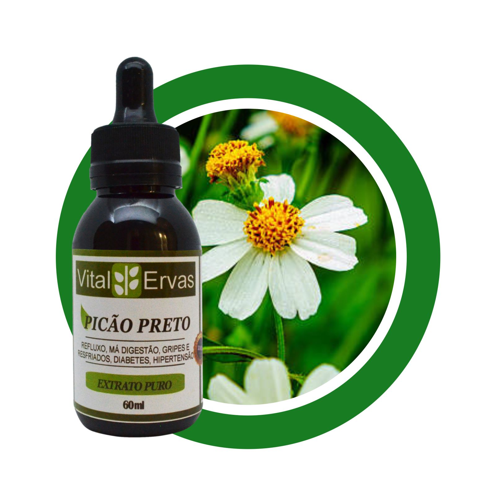 picao-preto-extrato-60ml picao preto extrato 60ml 2