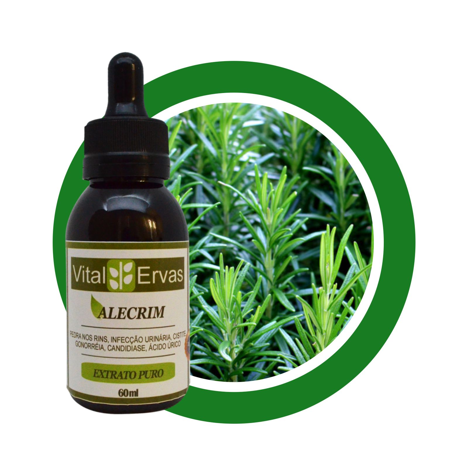 alecrim-extrato-60ml alecrim extrato 60ml