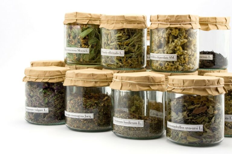 Passo a Passo de Como Secar Ervas Medicinais Naturalmente 5 armazenar e como secar ervas medicinais naturalmente