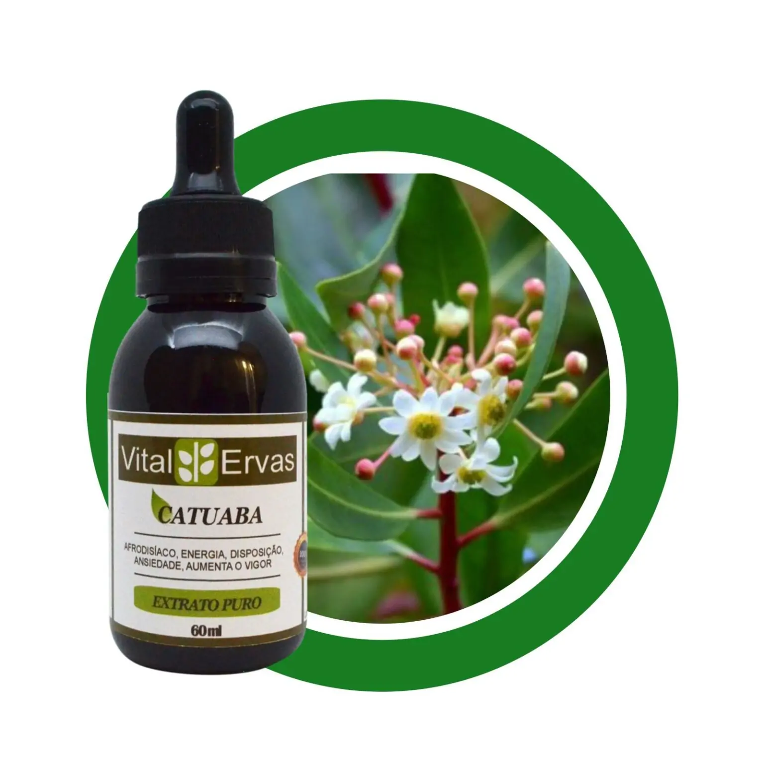 Catuaba Extrato 60ml Vital Ervas Fitoterápicos de A a Z