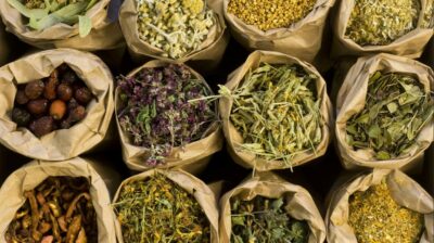 como desidratar ervas medicinais