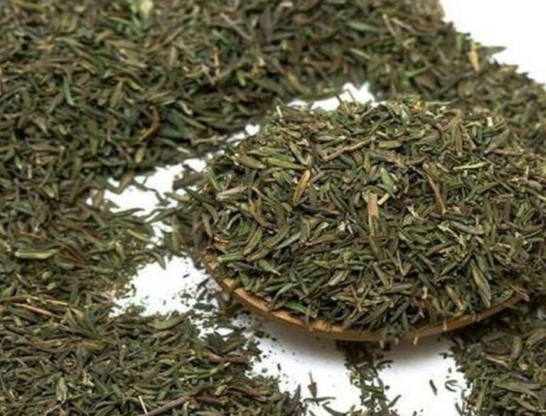 como desidratar ervas medicinais