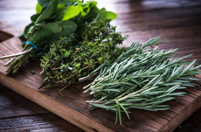 como desidratar ervas medicinais