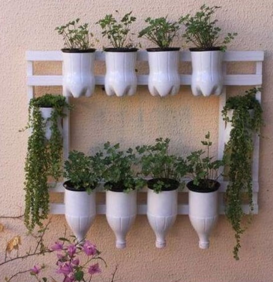 Aprenda Em 15 Minutos Como Plantar Ervas Medicinais Em Garrafas Pet 8 como plantar ervas medicinais em garrafas pet