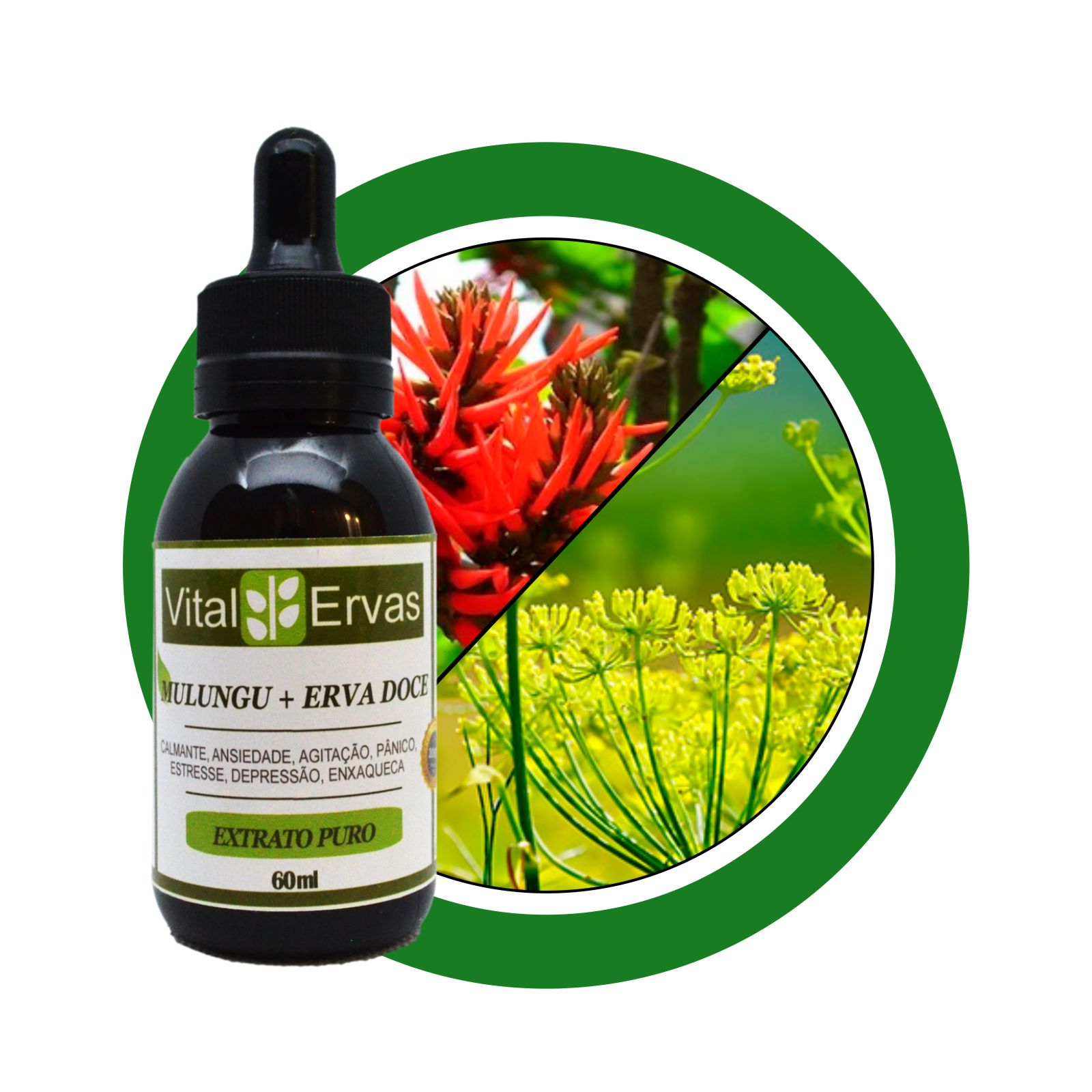 mulungu-com-erva-doce-extrato-60ml mulungu com erva doce extrato 60ml