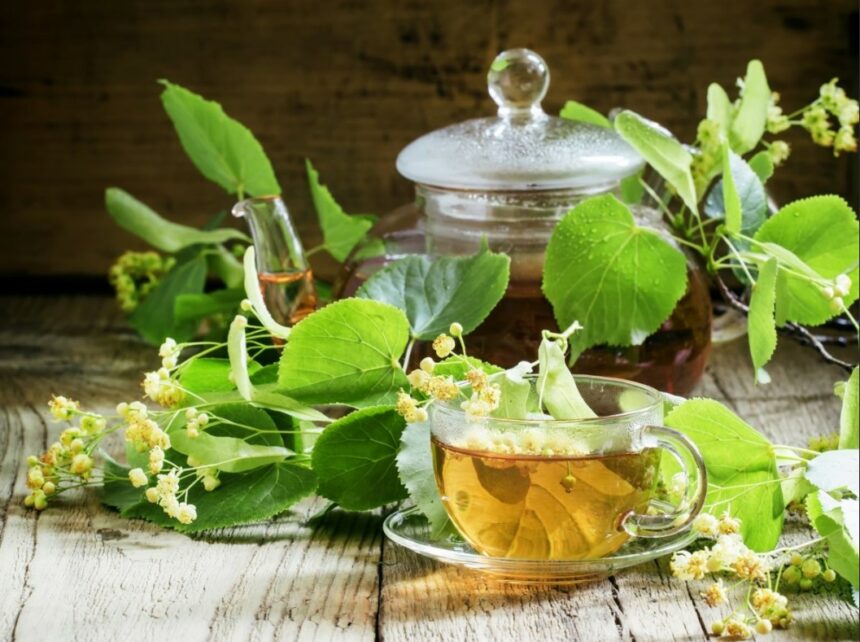 Chá Bom Para Coração: 6 Opções Naturais Para Cuidar Da Saúde ...