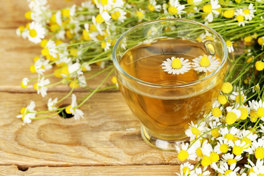 Chá Bom Para Coração: 6 Opções Naturais Para Cuidar Da Saúde ...