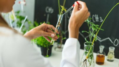 o que sao fitoterapicos