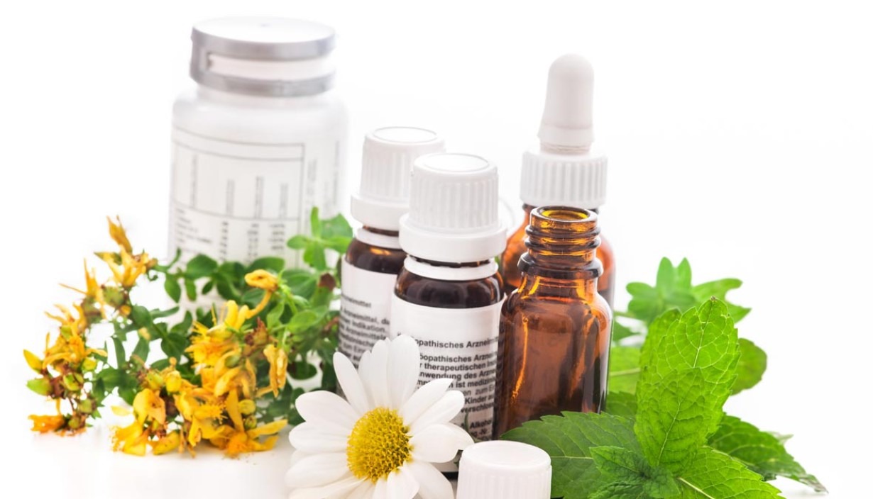 O Que São Medicamentos Fitoterápicos E Como Eles Funcionam Em Nosso ...
