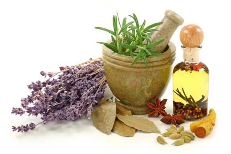 ervas medicinais para feridas