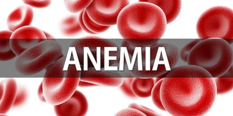 suplementos organicos para anemia