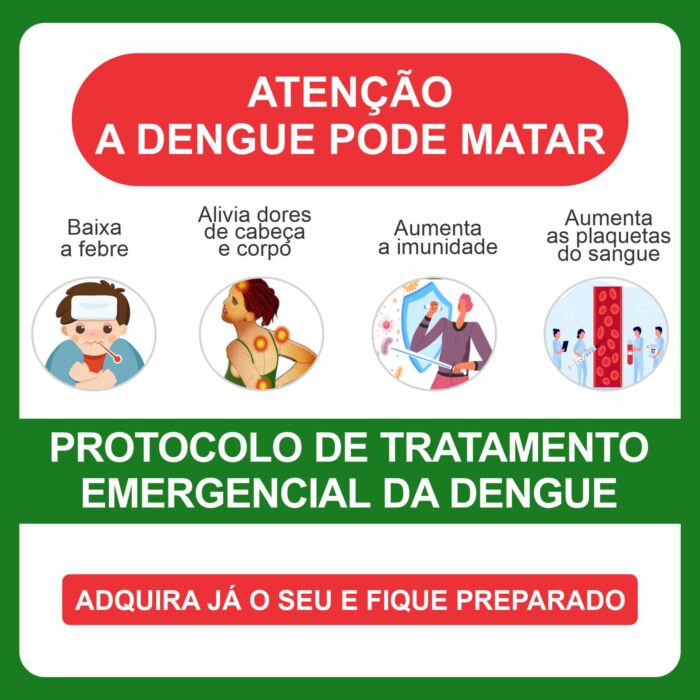 protocolo de tratamento natural da dengue kit individual 4 extratos 210ml 1