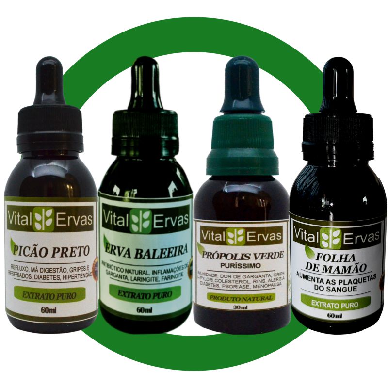 protocolo-dengue2 protocolo de tratamento natural da dengue